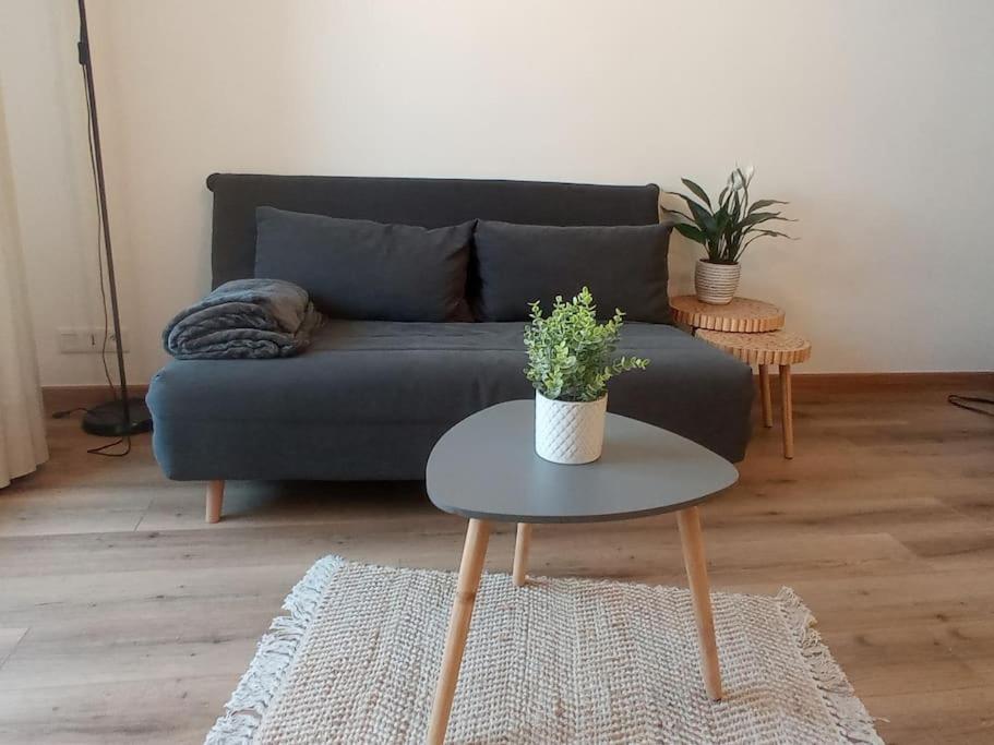 A 50 M De La Plage, Appartement De 35 M2 : Les Pieds Sales Bréhal Exterior photo